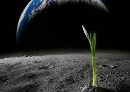 Trong thế giới vô tận của vũ trụ, có rất nhiều vì sao và các hành tinh xoay quanh chúng. Tuy nhiên, trong số đó, không phải tất cả đều là môi trường lý tưởng cho sự sống tồn tại.