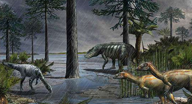 Đây là thời kỳ chứng kiến sự sinh sôi nảy nở của nhiều loài động vật, trong đó có tên tuổi sáng giá của vương quốc khủng long.