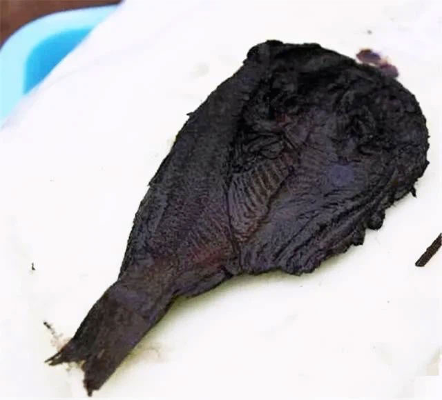 Trong lăng mộ này, các nhà khảo cổ học đã tìm thấy tổng cộng 13 con cá ướp muối trong các hộp hình dáng còn nguyên vẹn và không bị thối rữa sau hơn 2400 năm. (Ảnh: Baike.baidu)