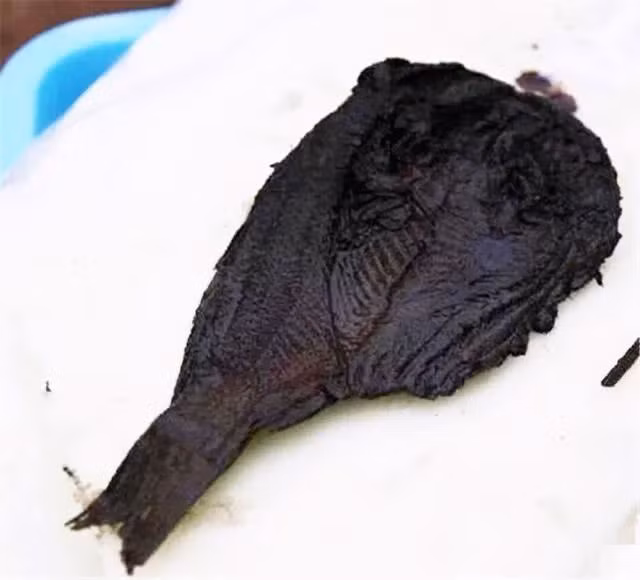 Trong lăng mộ này, các nhà khảo cổ học đã tìm thấy tổng cộng 13 con cá ướp muối trong các hộp hình dáng còn nguyên vẹn và không bị thối rữa sau hơn 2400 năm. (Ảnh: Baike.baidu)