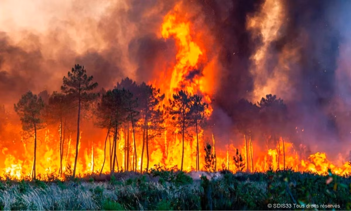 Hawking cho rằng hoàn cảnh của chỉ Trái đất là không ổn định, vì vậy việc tìm kiếm cuộc sống ngoài Trái đất có thể giúp loài người tồn tại lâu dài hơn và tránh được ngày tận thế.