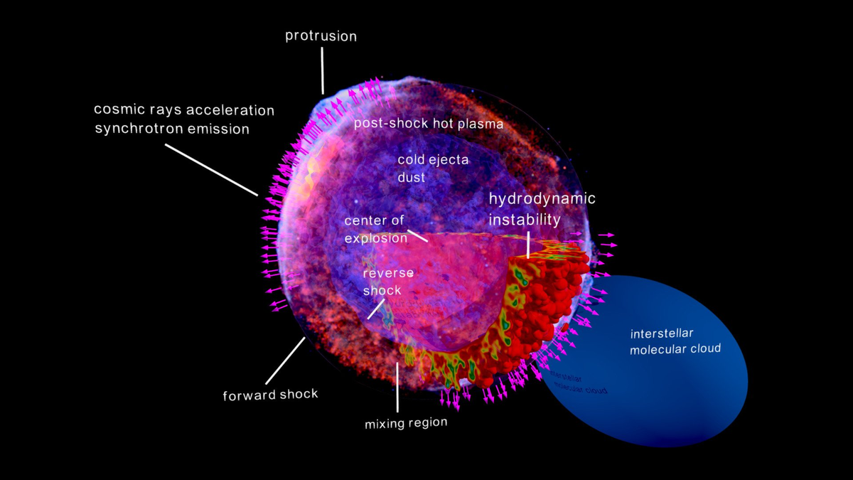 Lúc đầu, vật thể bị nghi ngờ là sao chổi, nhưng các nhà nghiên cứu ngày nay kết luận vật thể Sina nhìn thấy chính là vụ nổ siêu tân tinh SN-1006 diễn ra 7.200 năm trước. Ánh sáng phát ra từ vụ nổ mất nhiều nghìn năm mới đi tới Trái Đất và được Sina nhìn thấy.