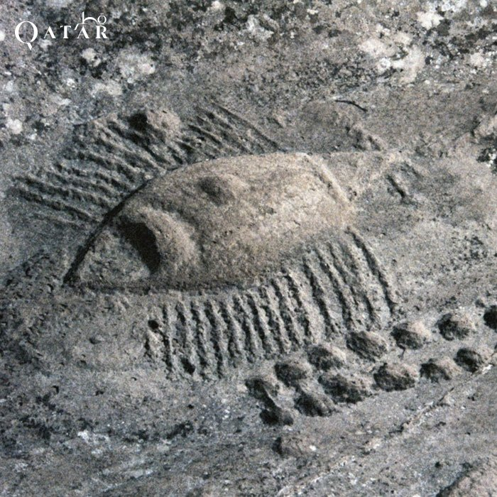 Mặc dù những chạm khắc này đã được tìm thấy từ rất lâu, tuy nhiên vẫn còn rất nhiều bí ẩn xung quanh chúng.