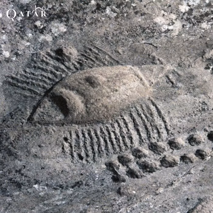 Mặc dù những chạm khắc này đã được tìm thấy từ rất lâu, tuy nhiên vẫn còn rất nhiều bí ẩn xung quanh chúng.