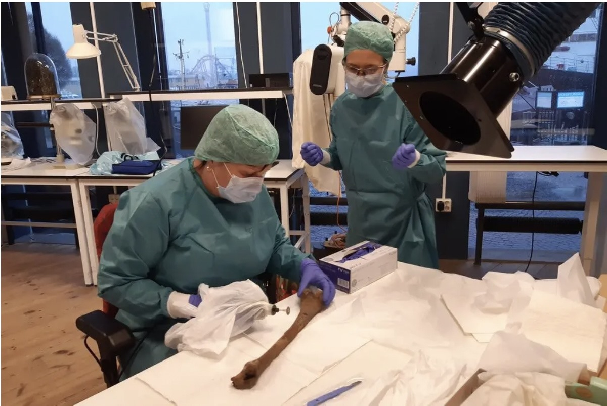 Theo các nhà nghiên cứu, tàu chiến Vasa được xây dựng với mục đích để tạo ra một biểu tượng cho tình hữu nghị giữa Thụy Điển và Liên Minh Hà Lan.