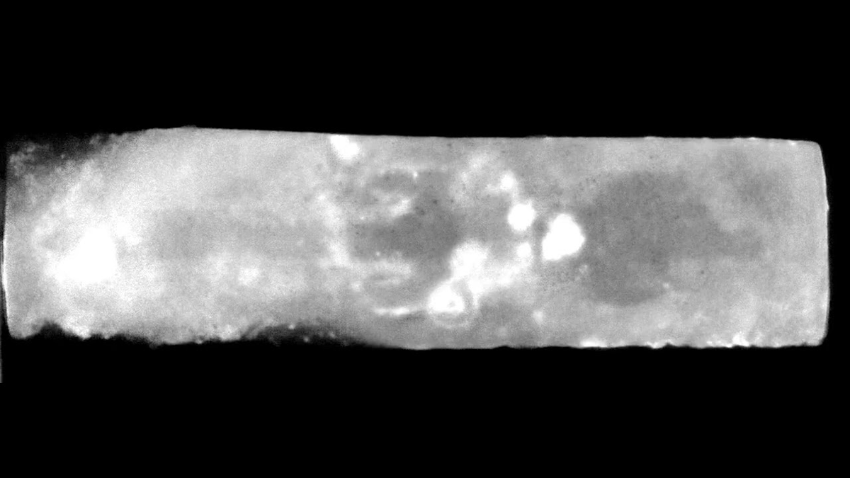 Điều đặc biệt là, các nhà chức trách thời đó cũng tin rằng, chôn cất động vật không chỉ có tác động tích cực đến con người mà còn đối với động vật và thiên nhiên.