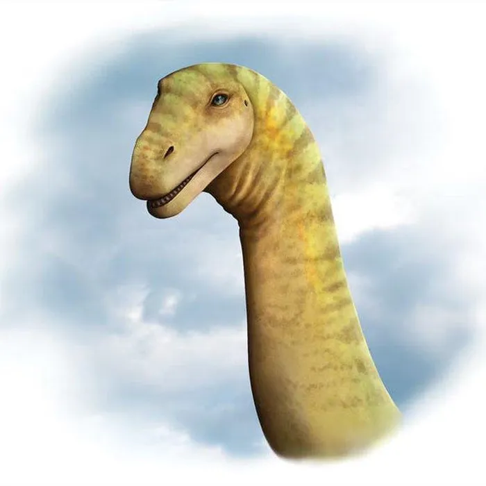 Hóa thạch hộp sọ này được đặt tên là Ann, đây là một mẫu vật gần như hoàn chỉnh với những phần chưa từng được biết đến ở loài Diamantinasaurus matildae. (Ảnh: Elena Marian)