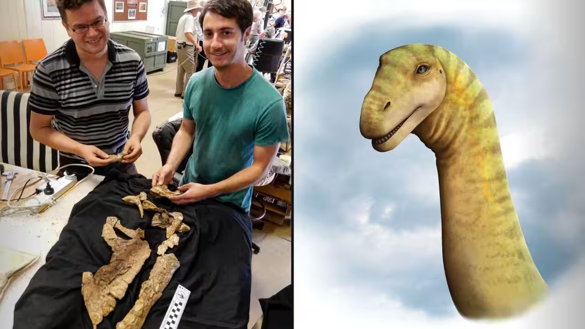 Với việc tìm ra hộp sọ khổng lồ, dung nhan của " siêu quái thú" lớn nhất từng bước đi trên Trái Đất đã được hé lộ.