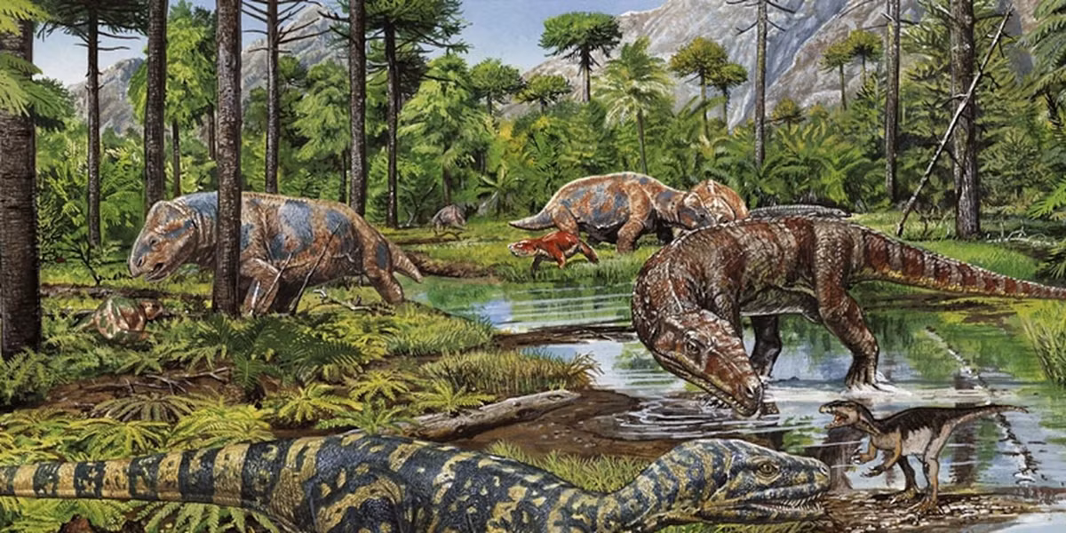 Như vậy, nguồn gốc của Turnersuchus hingleyae vẫn còn là một bí ẩn đối với các nhà khoa học.