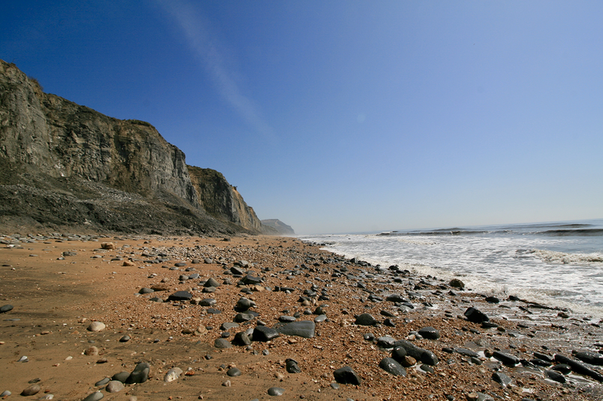 Tuy nhiên, đặc trưng đáng chú ý nhất của loài cá sấu này chính là nguồn gốc của nó. Những hóa thạch được tìm thấy chỉ cho thấy những dấu hiệu về bộ phận hàm và răng của Turnersuchus hingleyae, không có bất kỳ dấu vết hoặc mẫu vật của bất kỳ loài cá sấu cổ đại khác.