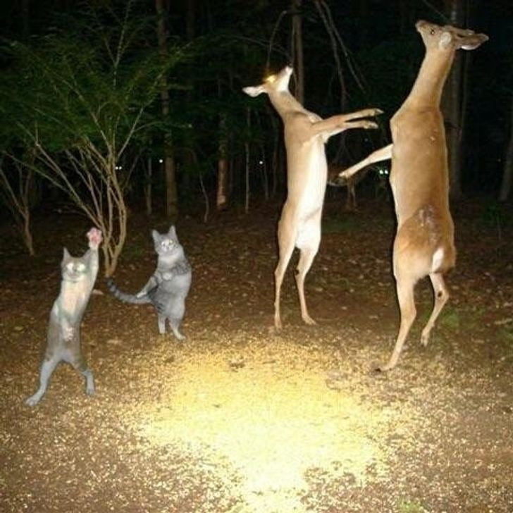 8. Đang nhảy sung thì bị chụp trộm nên bất ngờ quá