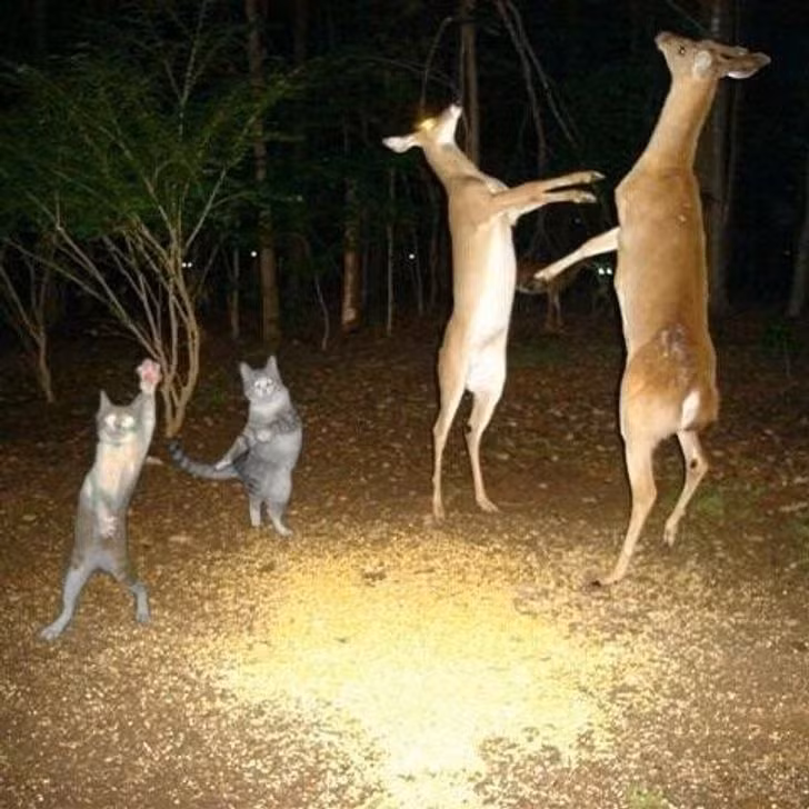 8. Đang nhảy sung thì bị chụp trộm nên bất ngờ quá