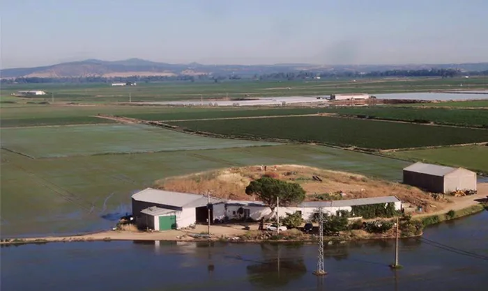 Tartessos được biết đến với nền văn minh dư luận của họ, sự đa dạng trong nghệ thuật và kiến trúc cũng như khả năng thương mại phát triển của họ. Theo các nhà khảo cổ học, Tartessos đã có mối quan hệ thương mại với nhiều quốc gia khác, đặc biệt là với những vùng đất ở Địa Trung Hải.