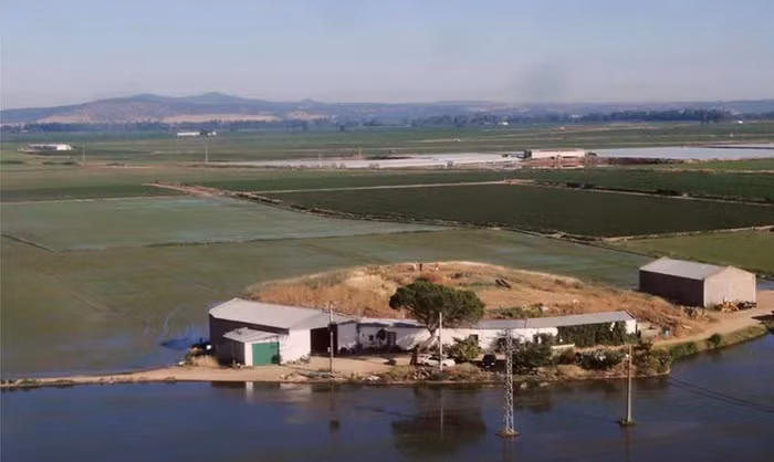 Tartessos được biết đến với nền văn minh dư luận của họ, sự đa dạng trong nghệ thuật và kiến trúc cũng như khả năng thương mại phát triển của họ. Theo các nhà khảo cổ học, Tartessos đã có mối quan hệ thương mại với nhiều quốc gia khác, đặc biệt là với những vùng đất ở Địa Trung Hải.