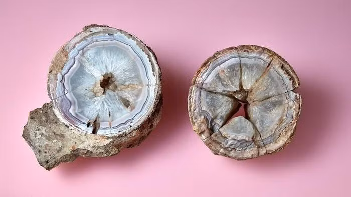 Đá quý lạ này chính là một viên mã não hoản hảo được Bảo tàng Lịch sử tự nhiên London (Anh) cất giữ từ năm 1883. (Ảnh: Bảo tàng Lịch sử tự nhiên London)