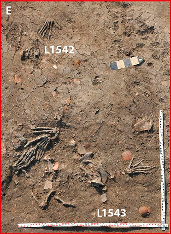 Không có dấu hiệu thoái hóa do tuổi tác nên ngưỡng tối đa là dưới 60 tuổi. Các dấu vết giải phẫu học chỉ ra, có 11 bàn tay thuộc về nam giới. Bàn tay thứ 12 nhiều khả năng thuộc về phụ nữ nhưng chưa chắc chắn.