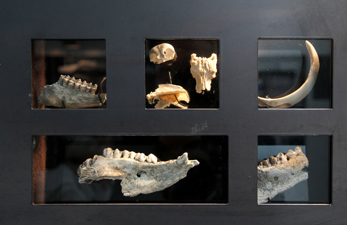 Vấn đề thứ hai là vấn đề về tình trạng xương người được tìm thấy trong hang Dunmore. Có rất nhiều ý kiến trái chiều về việc xác định độ tuổi, giới tính và nguồn gốc của các bộ xương này.