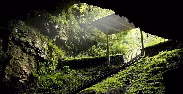  Hang Dunmore là một trong những hang động rộng lớn, nằm ở phía nam Scotland. Tại đây các chuyên gia đã được phát hiện hàng trăm bộ xương với các dấu hiệu của vụ thảm sát kinh hoàng năm 930.