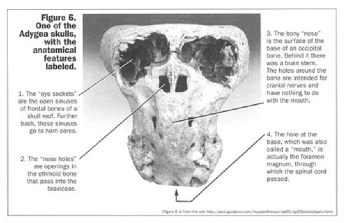 Mặc dù hộp sọ Rhodope khiến cộng đồng khoa học cảm thấy tò mò và tranh cãi, nhưng không có bằng chứng cụ thể để chứng minh rằng đó là một tàn tích của người ngoài hành tinh.