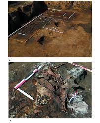 Được khai quật bởi các nhà khảo cổ học Nga vào những năm 1990, Devitsa V đã làm sáng tỏ nhiều điều về nền văn hóa Scythia cổ đại, một bộ tộc người Iran sống ở khu vực Kavkaz và miền trung Á-Âu cách đây hàng nghìn năm.