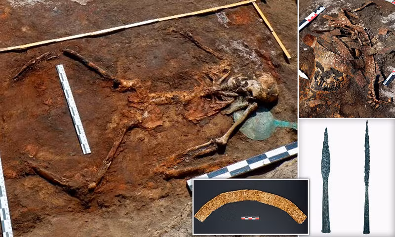 Việc tìm thấy một chiến binh Scythia trong gò chôn số 7 có ý nghĩa lớn vì nó cho thấy rằng đây là nơi an táng dành cho những người quan trọng trong cộng đồng.