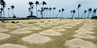 Ngoài ra, một số người cũng cho rằng đắp gò đất nhỏ là một phần của truyền thống đạo giáo của người Trung Quốc. Theo đạo giáo Trung Quốc, xây dựng một bia mộ và đắp gò đất nhỏ trên mộ sẽ giúp cho tinh linh của người đã khuất có thể tiếp tục sống sót trong thế giới bên kia.