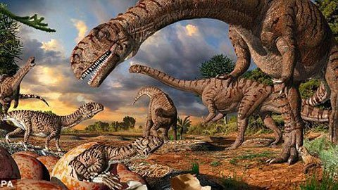 6. Khủng long có thể sinh hạ con và chăm sóc chúng, tương tự như con người. Có một số loài khủng long đã chứng minh khả năng đồng cảm và tình yêu thương với con cái của chúng.