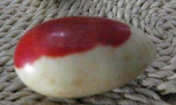 Cảm thấy hòn đá có thể là một báu vật nên lão nông dân đã mang về đưa con trai xem. Tuy nhiên, người con trai cũng không thể biết vật này là gì nên đành đăng tải hình ảnh của chúng lên mạng, mong có người nhận ra.