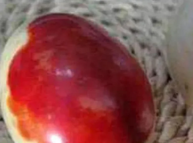 Bức ảnh này đã thu hút sự chú ý của giới chuyên môn. Các chuyên gia đã lập tức liên hệ với lão nông và mang hai hòn đá về nghiên cứu.