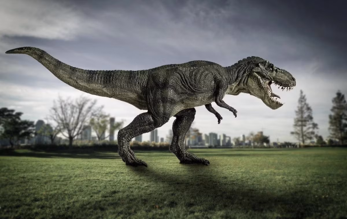 Nguyên nhân của sự khác biệt này có thể là do T-rex sử dụng đôi môi mỏng để giúp chúng dễ dàng kết nối với các cá thể khác của loài mình.