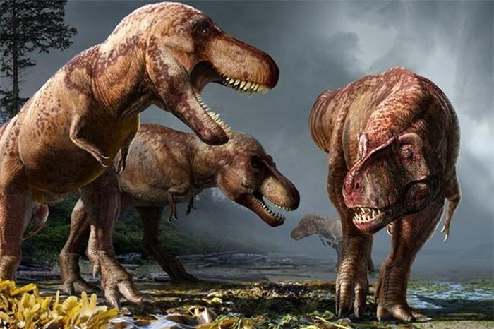 Một điều đáng nói là T-rex không chỉ là loài vật ác liệt và độc ác, chúng cũng có sự thông minh của một sinh vật đáng kinh ngạc.