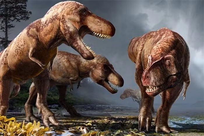 Một điều đáng nói là T-rex không chỉ là loài vật ác liệt và độc ác, chúng cũng có sự thông minh của một sinh vật đáng kinh ngạc.