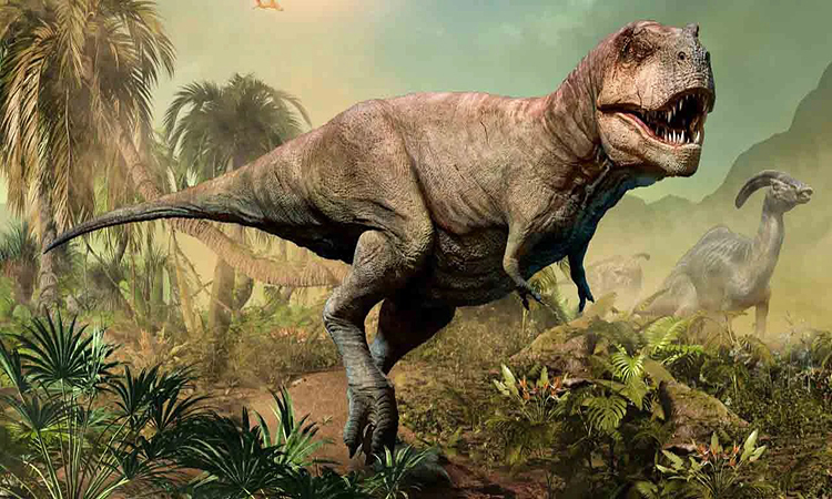 T-rex là một trong những loài khủng long lớn nhất và nguy hiểm nhất trong vương quốc khủng long. Với chiều dài khoảng hơn 12 mét và chiều cao trung bình đến 5 mét, chúng đã trở thành nỗi sợ hãi của các loài khác và điều đó cho thấy sức mạnh và độc ác của chúng.