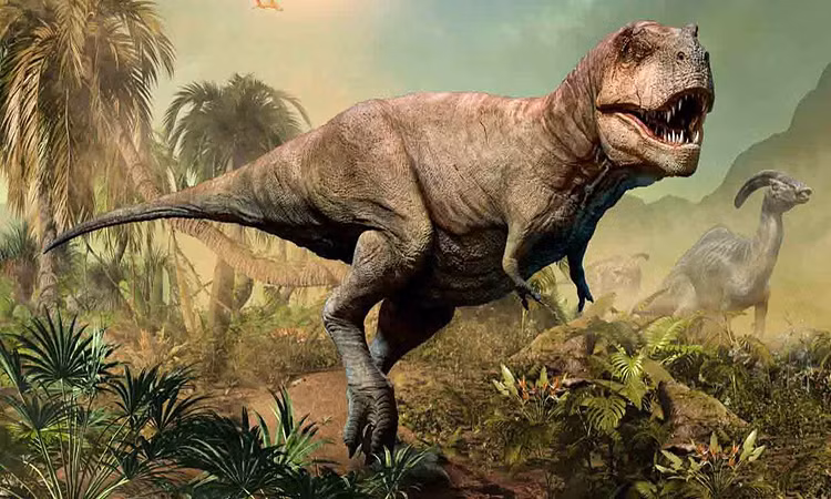 T-rex là một trong những loài khủng long lớn nhất và nguy hiểm nhất trong vương quốc khủng long. Với chiều dài khoảng hơn 12 mét và chiều cao trung bình đến 5 mét, chúng đã trở thành nỗi sợ hãi của các loài khác và điều đó cho thấy sức mạnh và độc ác của chúng.