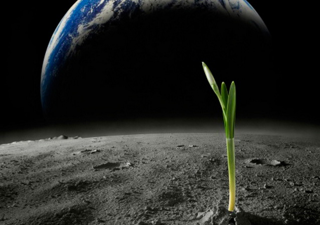 Tuy nhiên, nhờ việc tìm thấy nguồn nguyên liệu cần thiết cho sự sống trong Perseus, chúng ta có thể tiếp cận với khả năng của sự sống trên các hành tinh khác trong vũ trụ.