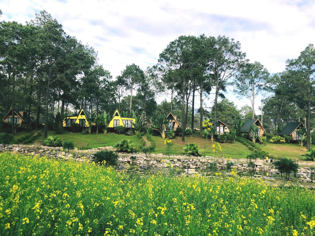 Homestay, resort ven Ha Noi tang gia, chay phong dip le-Hinh-2