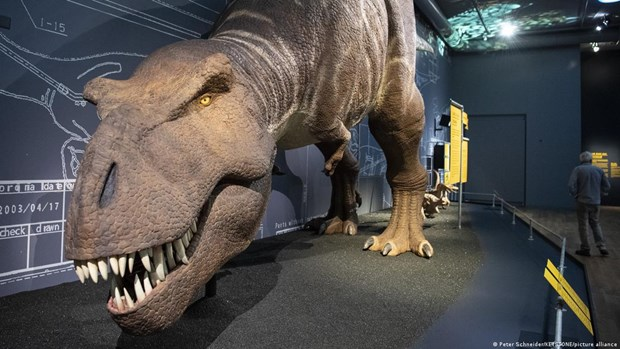 Gia thuyet moi gay bat ngo ve loai khung long bao chua