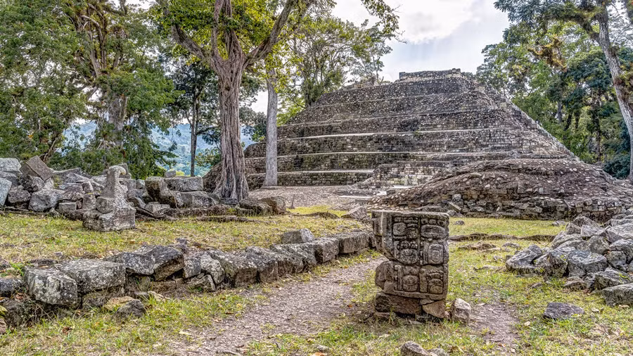 Sau đó, bề mặt được trang trí bằng thạch cao để bảo vệ chúng khỏi mối mọt và gỉ sét.