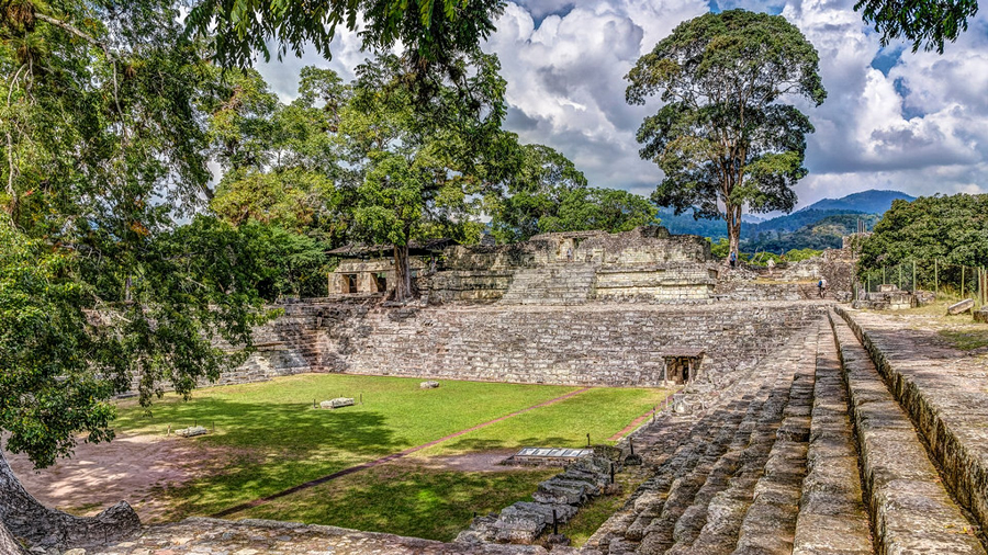 Chúng được xây dựng với các khe hở để cho phép hơi nước bay ra và giúp giảm bớt áp lực lên bề mặt bên trong.