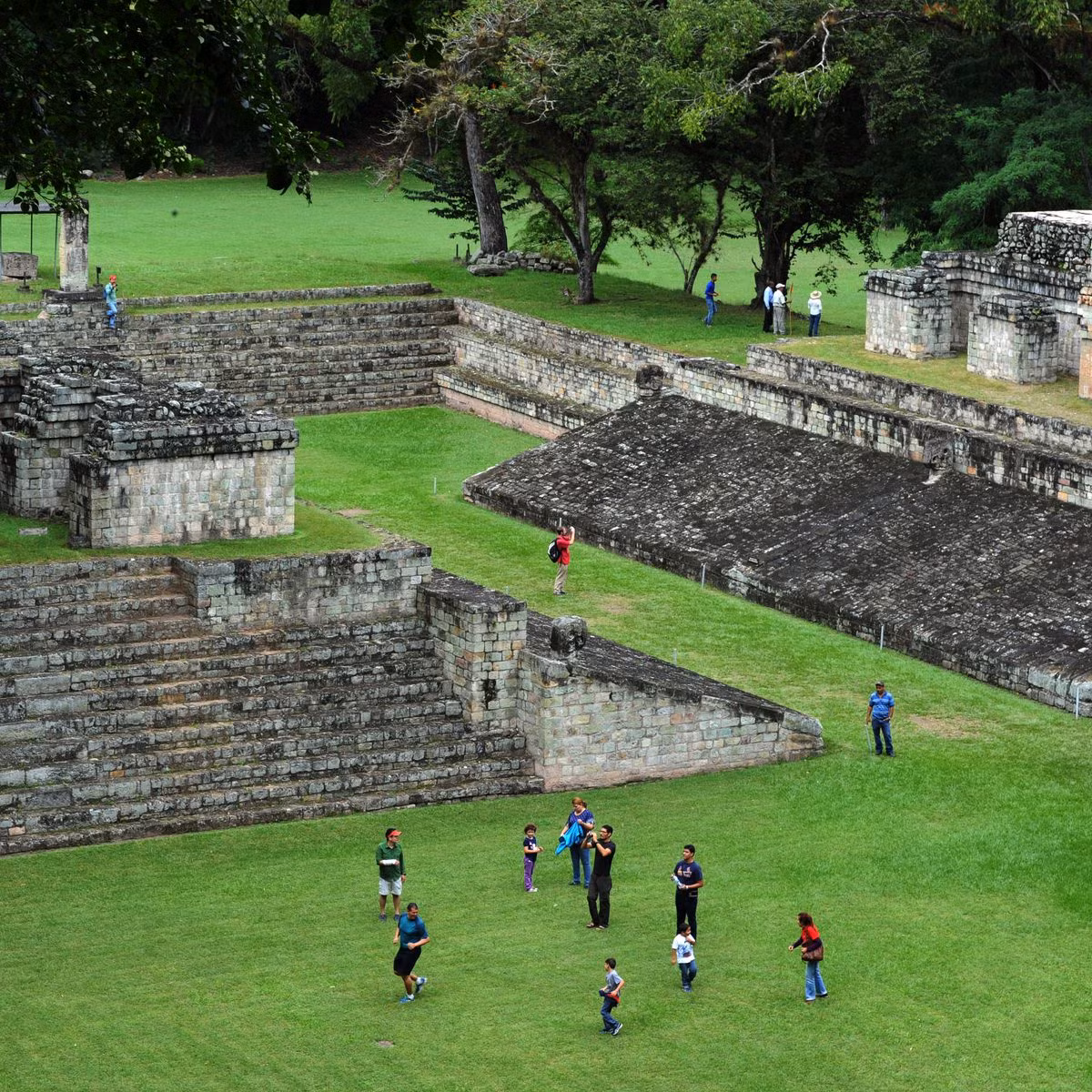 Một giải pháp khác là nhờ vào khả năng tự thích nghi của các Maya. Theo các nhà khoa học, các cấu trúc Maya đó đã được thiết kế để thích nghi với sự thay đổi nhiệt độ và độ ẩm trong môi trường xung quanh.