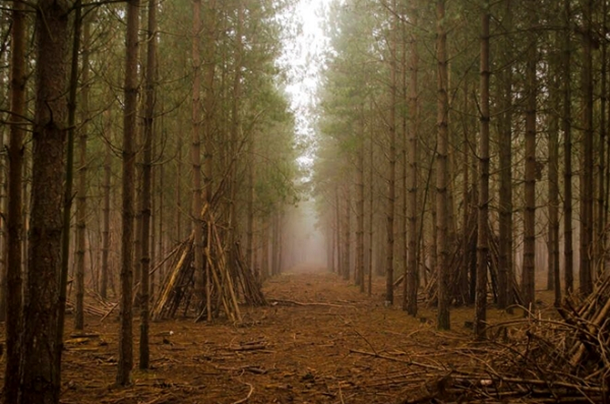 Tuy nhiên, vật thể này đã bay đi trước khi bất kỳ ai có thể tiếp cận nó.