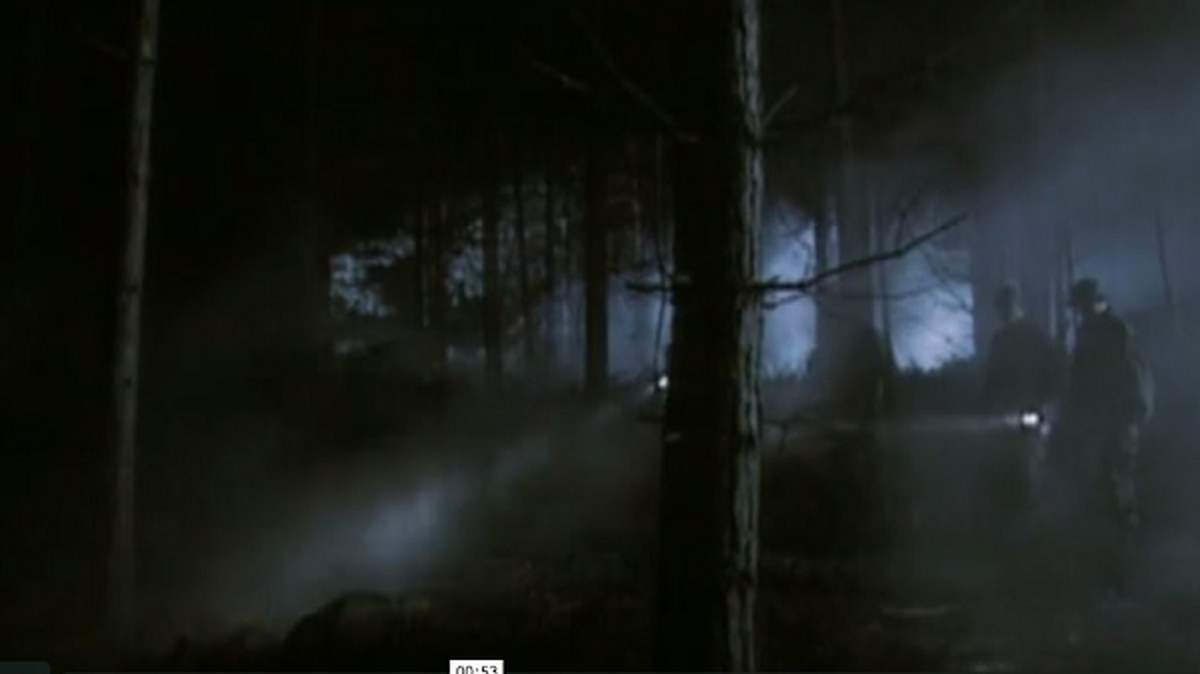 Cuộc chạm chán UFO ở rừng Rendlesham đã thu hút sự chú ý của các nhà nghiên cứu UFO trên toàn thế giới.