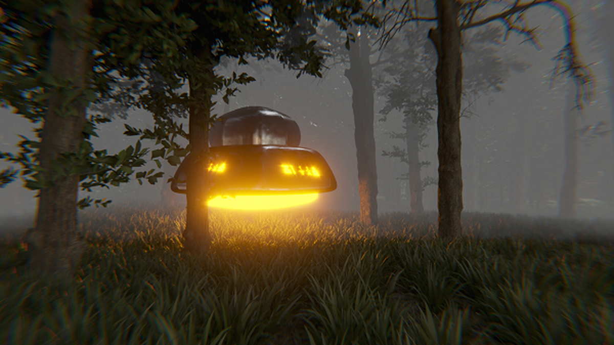 Các nhân viên căn cứ không quân Rendlesham tiếp tục điều tra trong khu rừng và phát hiện ra một vài dấu vết kỳ lạ.