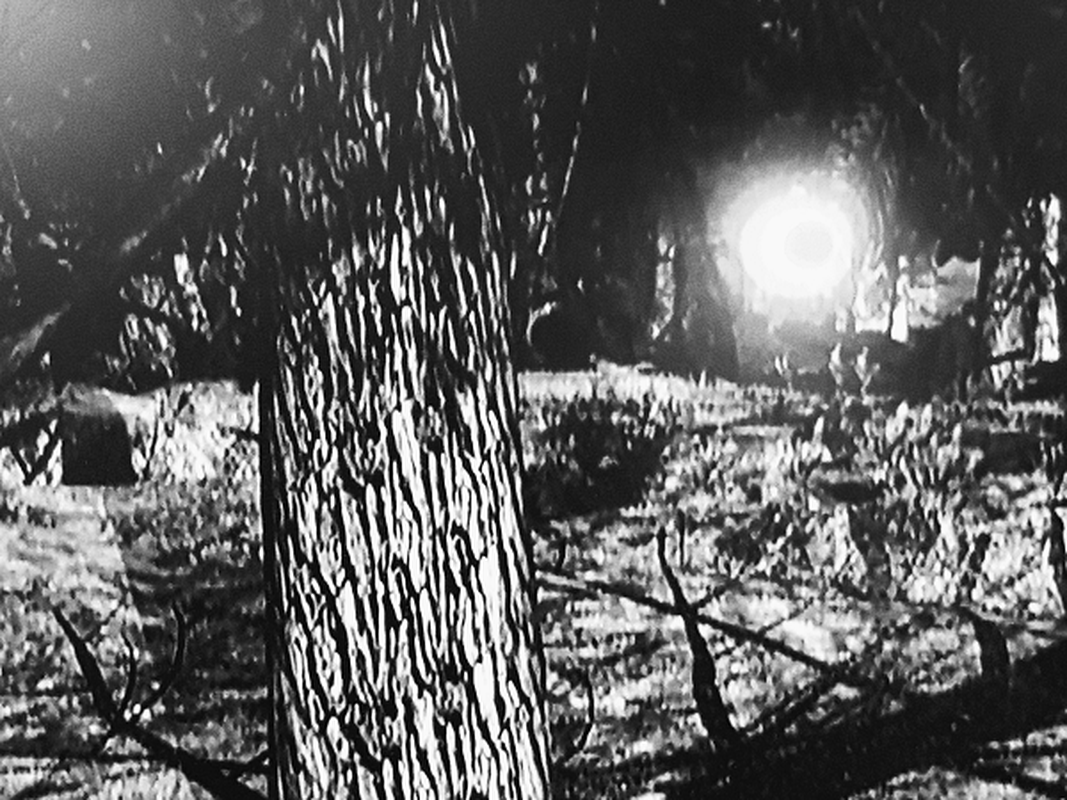 Dù cho cuộc chạm chán UFO ở rừng Rendlesham có thật hay không, nó vẫn là một câu chuyện rất thú vị và cho thấy tầm quan trọng của việc nghiên cứu về sự xuất hiện của người ngoài hành tinh trên Trái Đất.