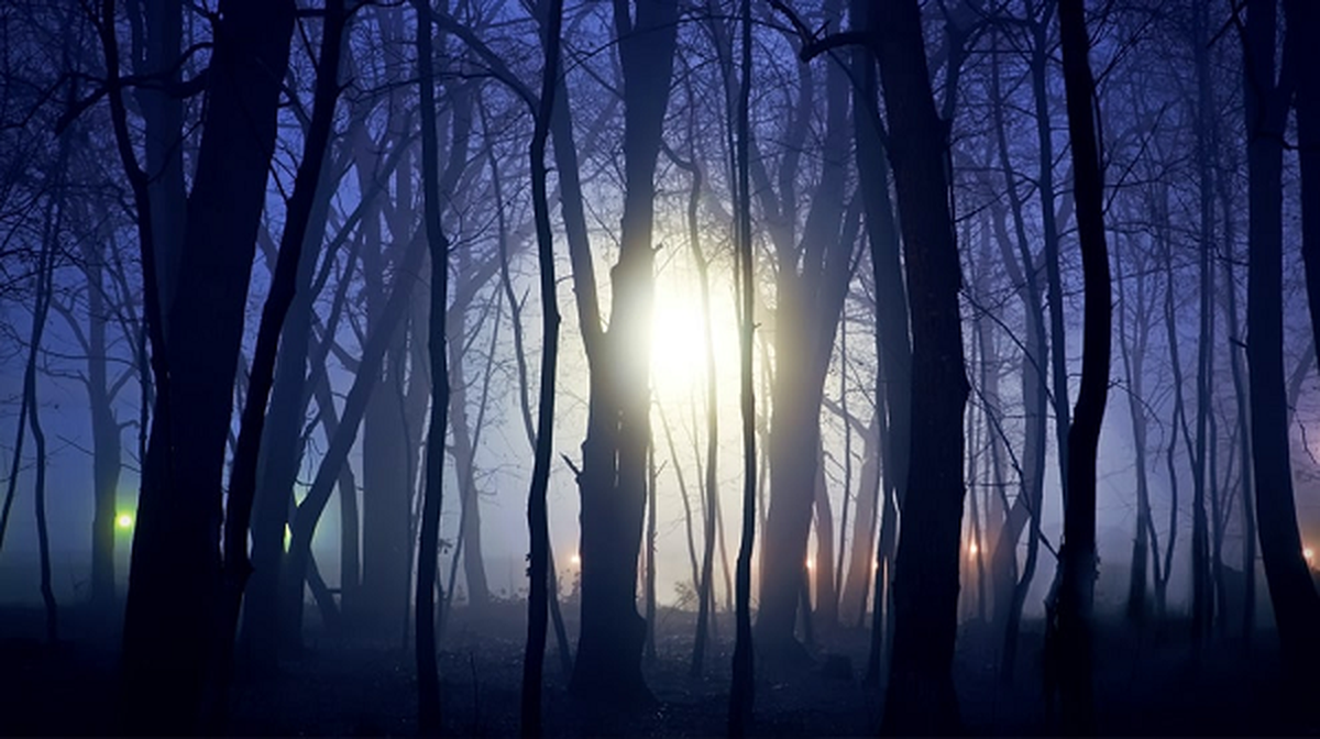 Nhiều người cho rằng đây là xác nhận của sự tồn tại của phi hành đoàn ngoài trái đất và đã thiết lập một thảo luận sôi nổi trong cộng đồng nghiên cứu về sự xuất hiện của phi hành đoàn ngoài trái đất trên Trái Đất.