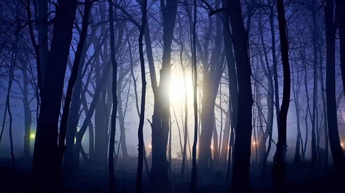 Nhiều người cho rằng đây là xác nhận của sự tồn tại của phi hành đoàn ngoài trái đất và đã thiết lập một thảo luận sôi nổi trong cộng đồng nghiên cứu về sự xuất hiện của phi hành đoàn ngoài trái đất trên Trái Đất.