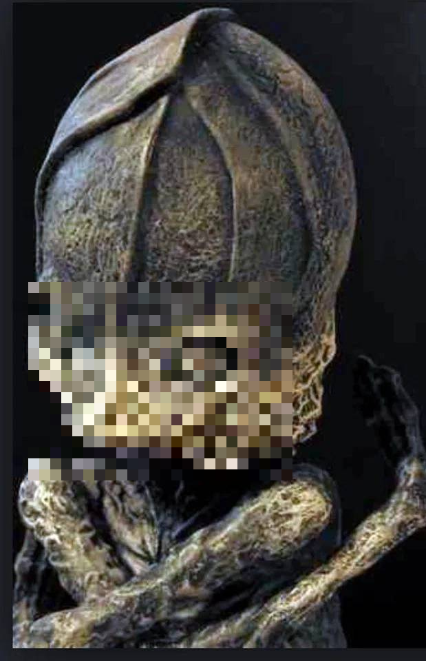 Sau nhiều lần khám nghiệm, người ta phát hiện ra rằng cái xác này vốn chỉ là một bào thai bị biến dạng bởi ô nhiễm từ vụ thảm họa phóng xạ Kyshtym tại Mayak vào năm 1957.