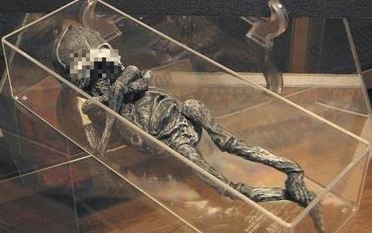 Tuy nhiên, kể từ khi được phát hiện, Alyoshenka đã trở thành một điểm nổi bật của sự quan tâm của giới khoa học và giới truyền thông.