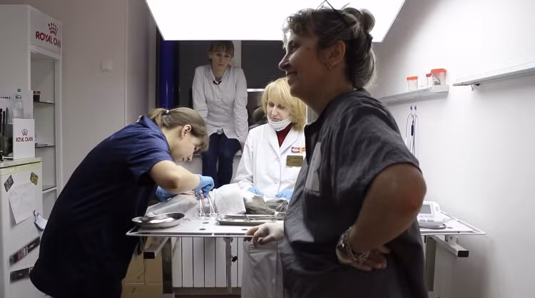 Theo các nhà khoa học đang nghiên cứu về Alyoshenka, sinh vật này có cấu trúc hình thù khác lạ và có thể chứa những bí mật về nguồn gốc và tồn tại của đời sống ngoài hành tinh.