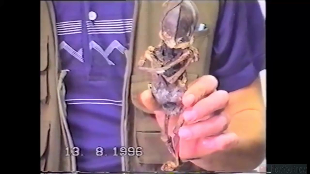 Sự xuất hiện của Alyoshenka đã thu hút sự quan tâm của nhiều người và tạo ra nhiều tranh cãi và nghi ngờ.